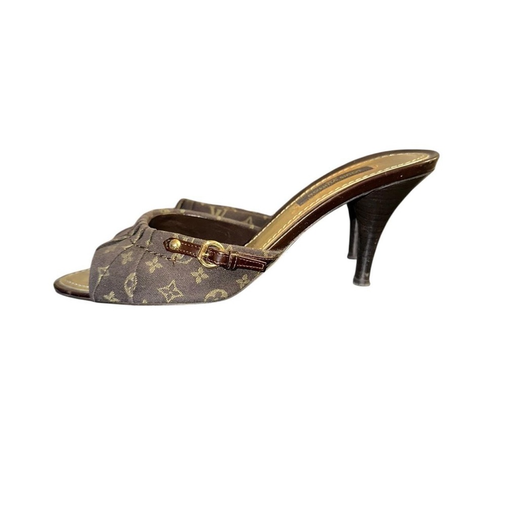 Louis Vuitton Monogram Brown Heels